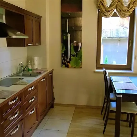 شقة Radowid 14 W Centrum Z Basenem زاكوباني