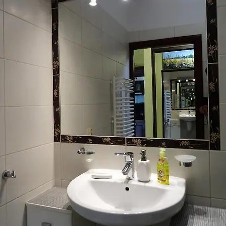 Radowid 14 W Centrum Z Basenem Апартаменты Закопане